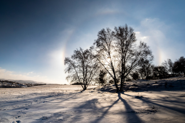如何教小学生辨别方向 大自然辨别方向的方法