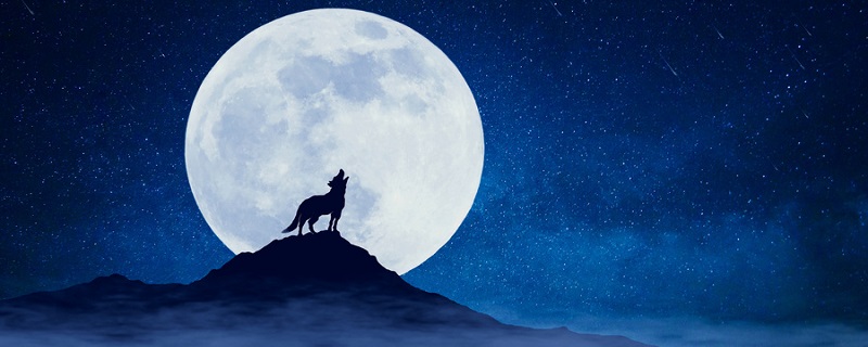 狼第二则翻译 蒲松龄狼二则译文