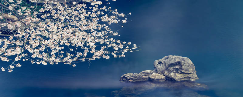 小石潭记拼音 小石潭记写出了什么情感