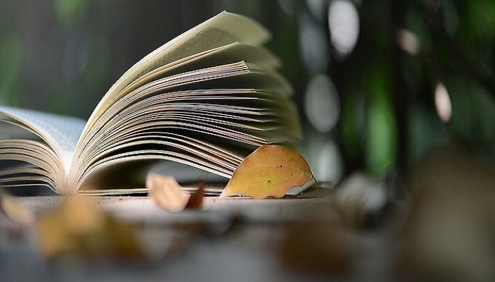 我与地坛是一本什么散文名作 我与地坛是一篇什么散文