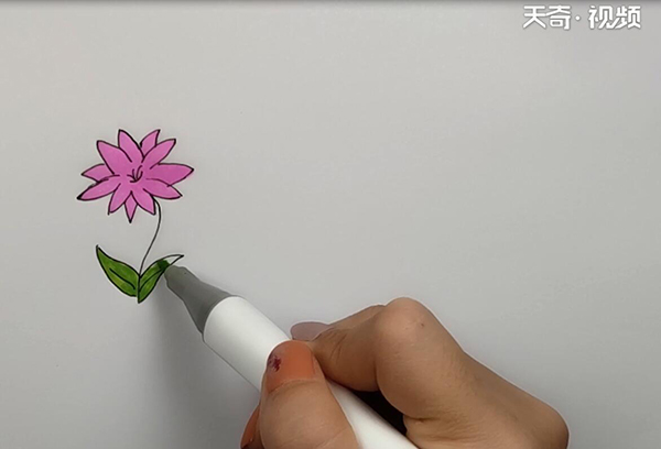 花朵简笔画