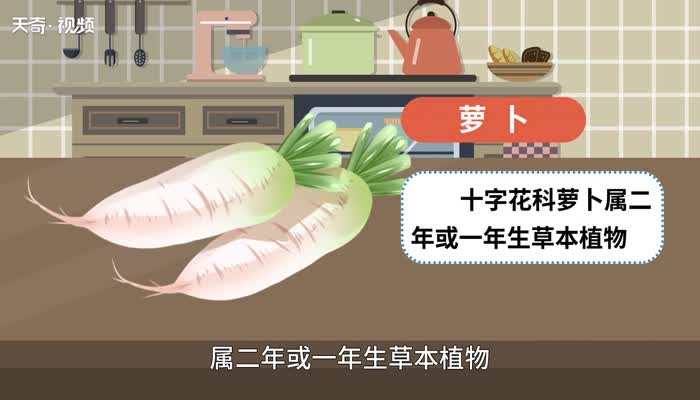 萝卜的意思 萝卜的意思是什么