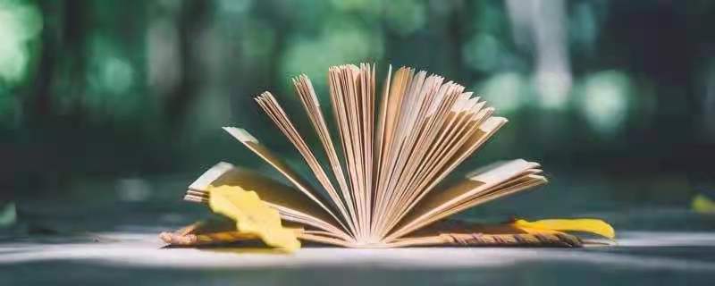 少年阿宾小说阅读 少年阿宾小说阅读番外篇