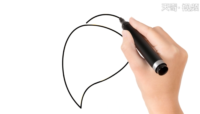 巴西涡螺简笔画 巴西涡螺简笔画怎么画