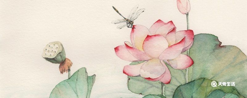 池上描写的是什么季节 池上描写的是什么季节什么地方
