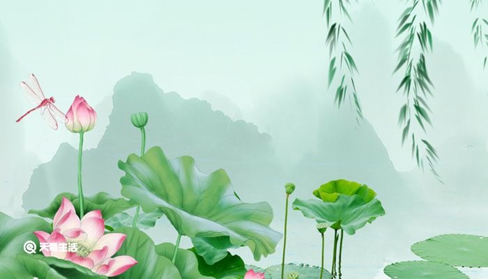 爱莲说中莲花的品质 爱莲说中莲花的美好之处