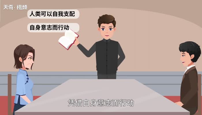 自由的意思,自由的解释