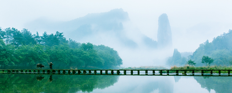 云水禅心表达什么感情 云水禅心表达了什么情感