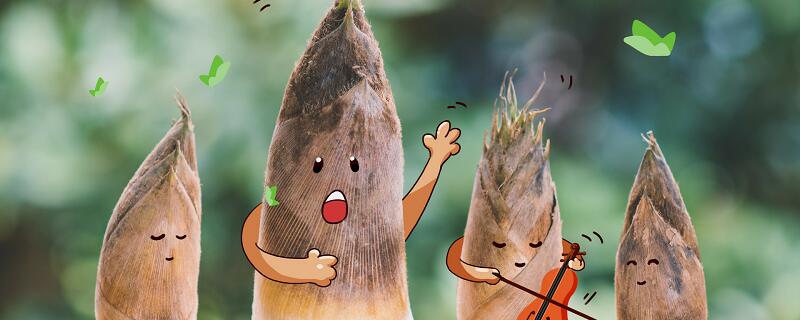 笋芽儿的故事 笋芽儿的童话故事