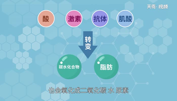 氨基酸是高分子化合物吗  氨基酸属于高分子化合物吗