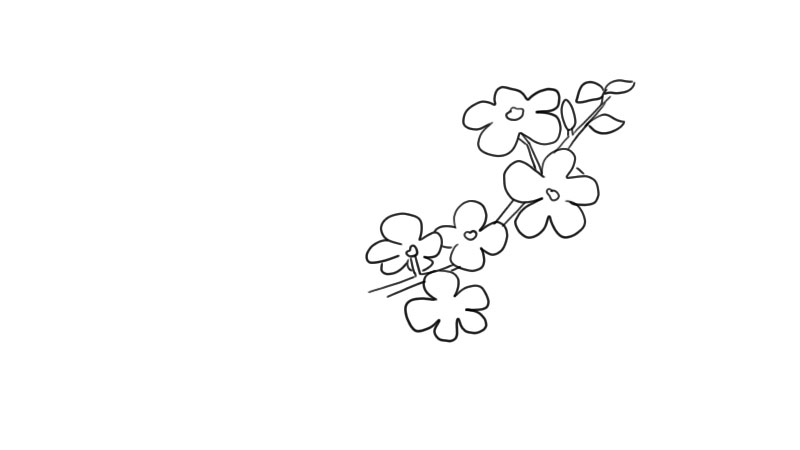 迎春花简笔画 迎春花怎么画