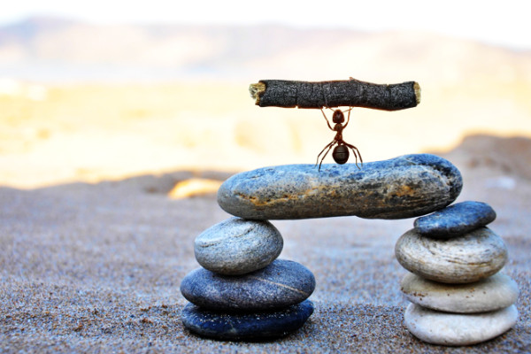 如何教小学生辨别方向 大自然辨别方向的方法