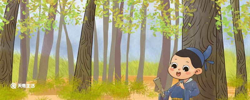 儒林外史中因考中举人而发疯的是 儒林外史谁中举后发疯