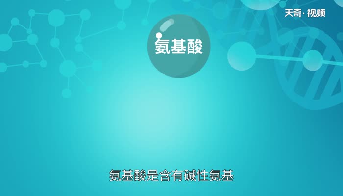 氨基酸是高分子化合物吗  氨基酸属于高分子化合物吗