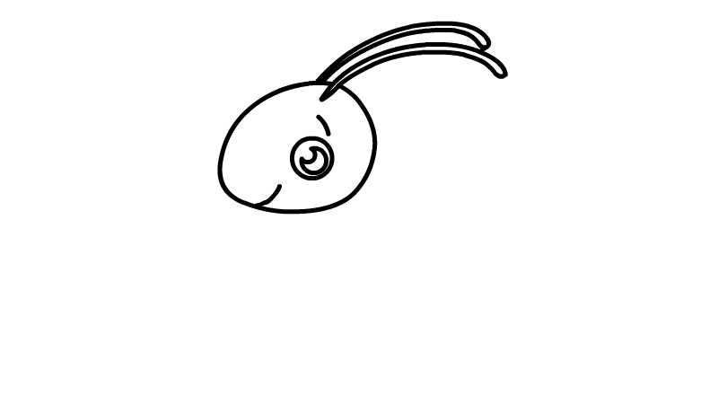 蚱蜢简笔画 蚱蜢简笔画怎么画
