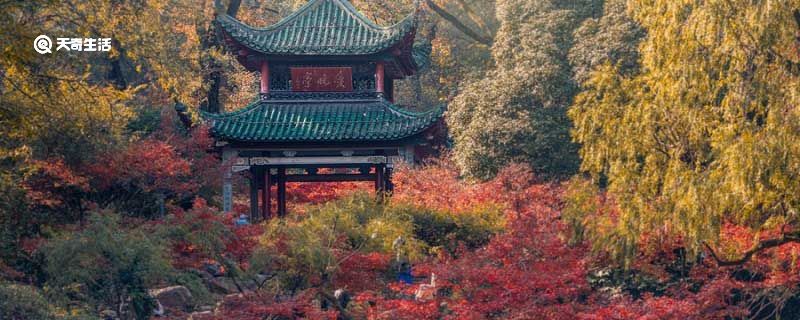 日出而林霏开云归而岩暝翻译 若夫日出而林霏开云归而岩暝翻译