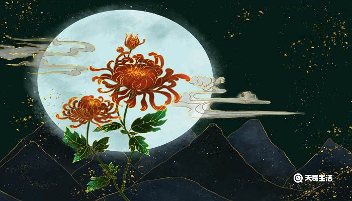 记得当年草上飞,铁衣著尽著僧衣意思 铁衣著尽著僧衣译文