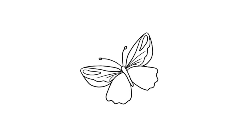 蝴蝶简笔画