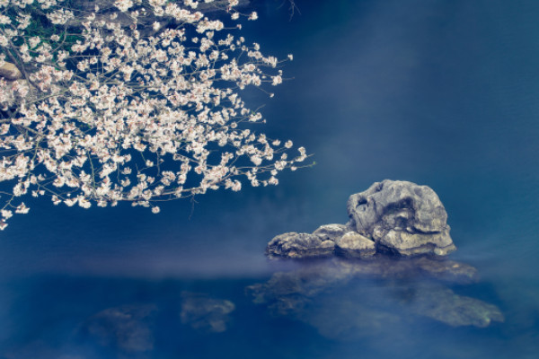 《风》李峤拼音 《风》李峤全诗的意思