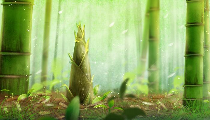 笋芽儿的故事 笋芽儿的童话故事