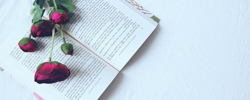 无冕之王是褒义吗 无冕之王怎么理解