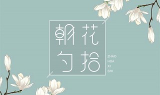 朝花夕拾读后感400字左右（朝花夕拾读后感400字左右六年级）