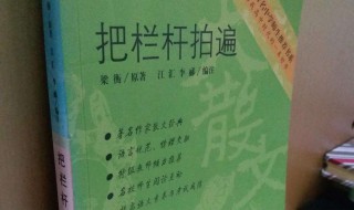 把栏杆拍遍读后感（把栏杆拍遍读后感200字）