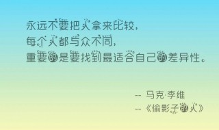 偷影子的人读后感 偷影子的人读后感50字