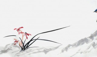 关于兰花的诗词（关于兰花的诗词大全及诗意）