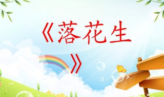 落花生读后感（落花生读后感500字）