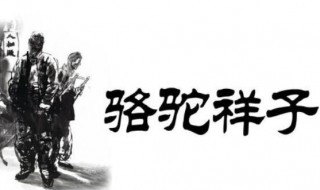 骆驼祥子读后感（骆驼祥子读后感500字）
