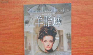 羊脂球读后感 羊脂球读后感1000字