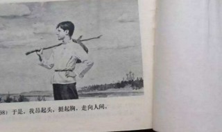 在人间读后感（在人间读后感800字）