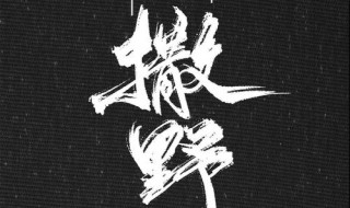 撒野讲的一个什么故事（撒野讲述的故事）