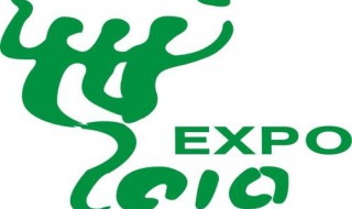 世博会会徽的含义（世博会徽章的含义）