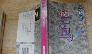 誓鸟的含义（誓鸟的含义是什么?）