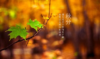 秋分的诗句（秋分的诗句有哪些）