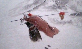 林教头风雪山神庙读后感（林教头风雪山神庙读后感800字）