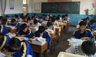 濠梁之辩寓意和启示（濠梁之辩寓意和启示感悟）