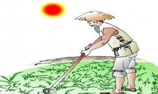 勤俭节约粮食的古诗（关于节俭粮食的诗句）