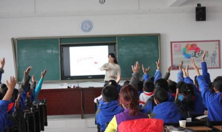 变形记作文400字 变形记作文400字六年级蚂蚁