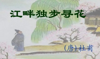 江畔独步寻花全诗意思（江畔独步寻花全诗意思是什么）