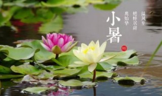 小暑诗词 小暑诗词大全