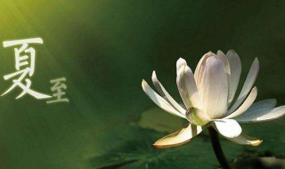 冬至夏至是什么意思（冬末夏至是什么意思）