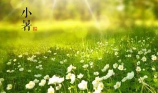 二十四节气小暑诗词 二十四节气大暑古诗词
