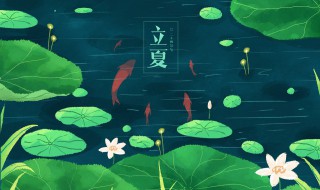 夏至未至的意思和寓意 夏至未至是什么意思?夏至未至意思解释