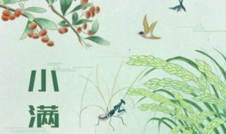 小满节气诗谚有哪些（小满节气谚语及诗词）