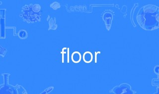 floor是什么意思 sikafloor是什么意思