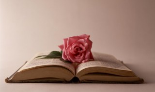 芳菲的意思是什么（陌上芳菲的意思是什么）
