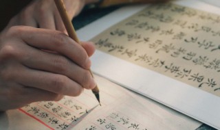 着多音字怎么组词 着多音字怎么组词着第一声